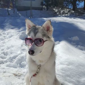 Meet your Posher, Becca