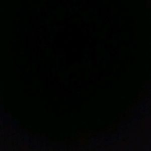 Meet your Posher, Adalberto