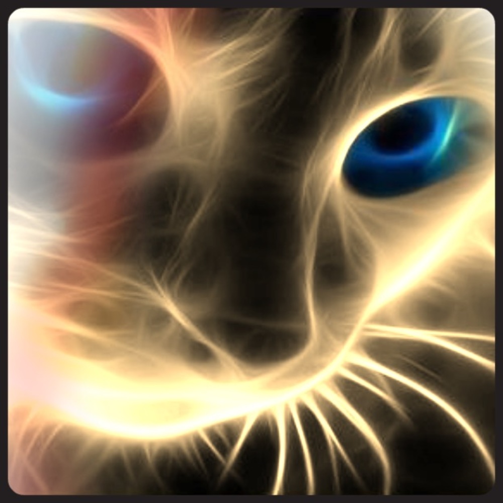 Meew your posher =^ -^=