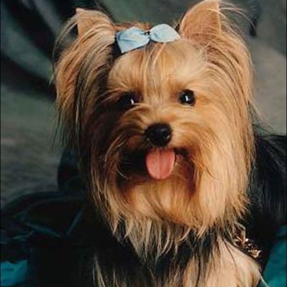 Meet your Posher, Aida