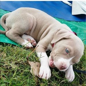 Meet your Posher, Michelle