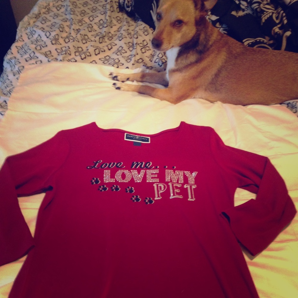 Karen Scott shirt