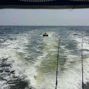 Meet your Posher, Tim