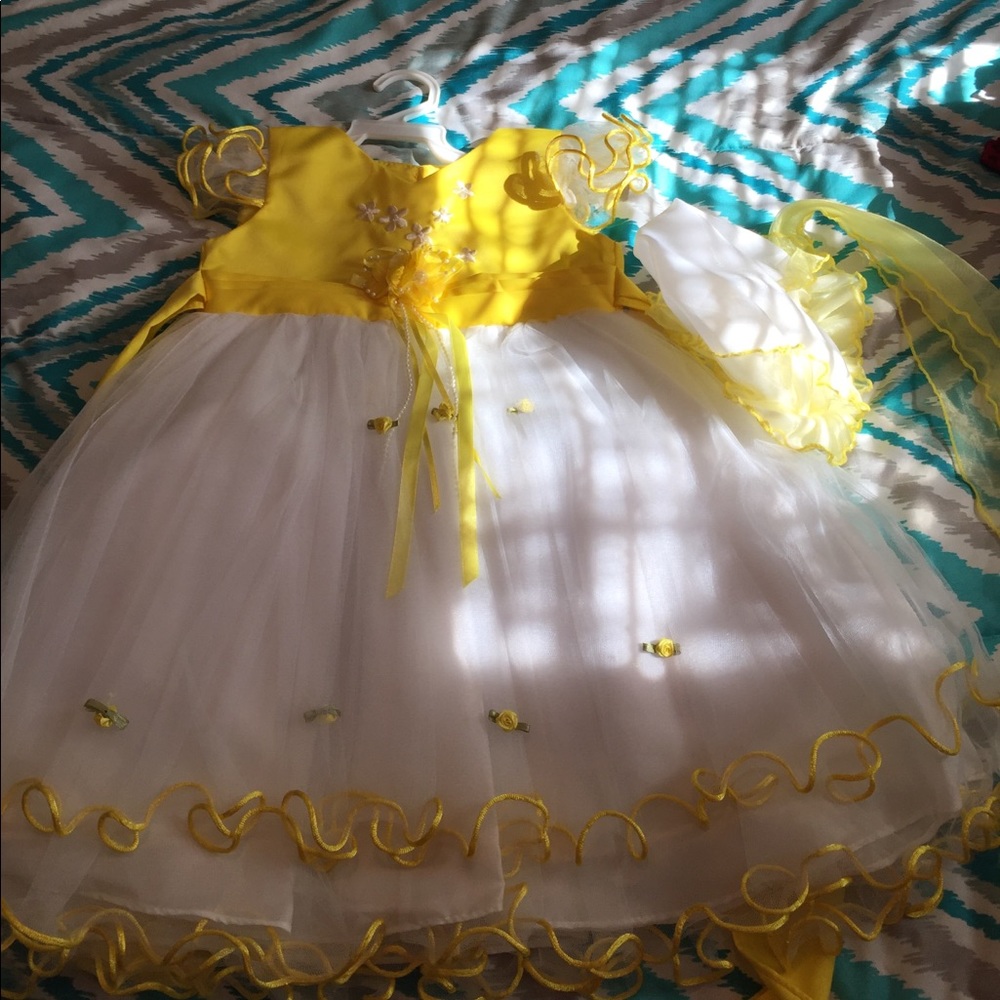 Toddlers special occasion dress