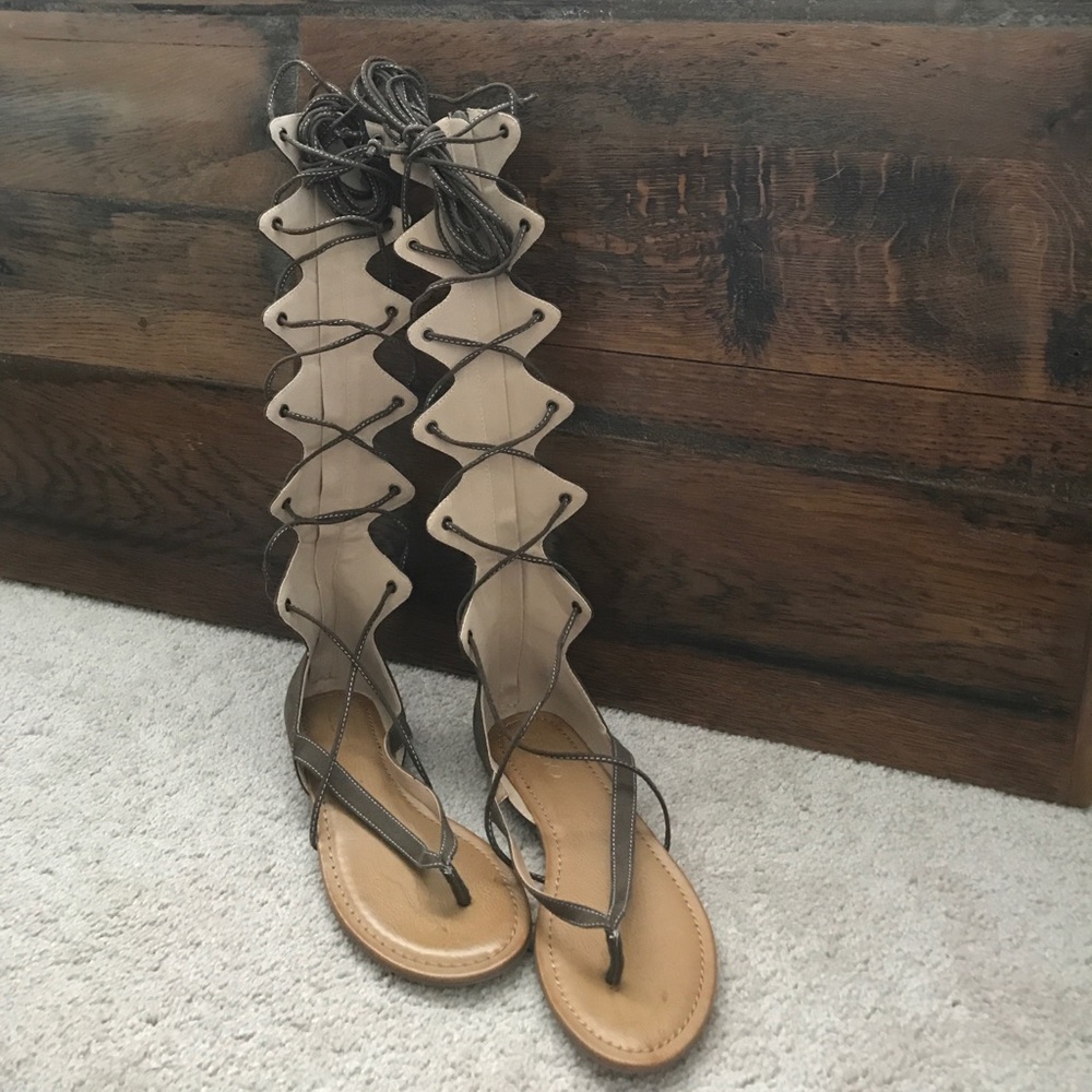 Brand New Aldo Knee-high Gladiator Sandals