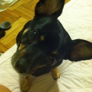 Meet your Posher, Sungha