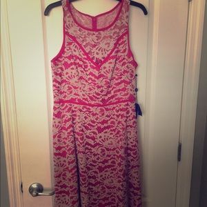 Adrianna Papell size 12 lace dress NWT nordstrom