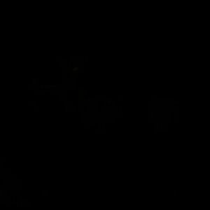 Meet your Posher, Monique