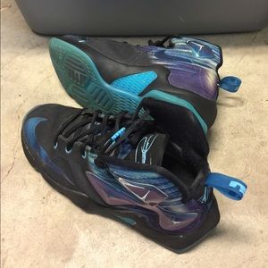 Nike Lebron James shoes