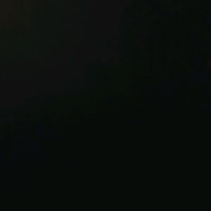 Meet your Posher, Codie