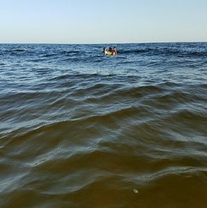 Meet your Posher, Rose