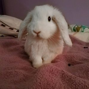 Meet your Posher, Leah