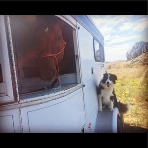 Meet your Posher, Hayley