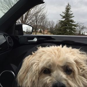 Meet your Posher, Tamara