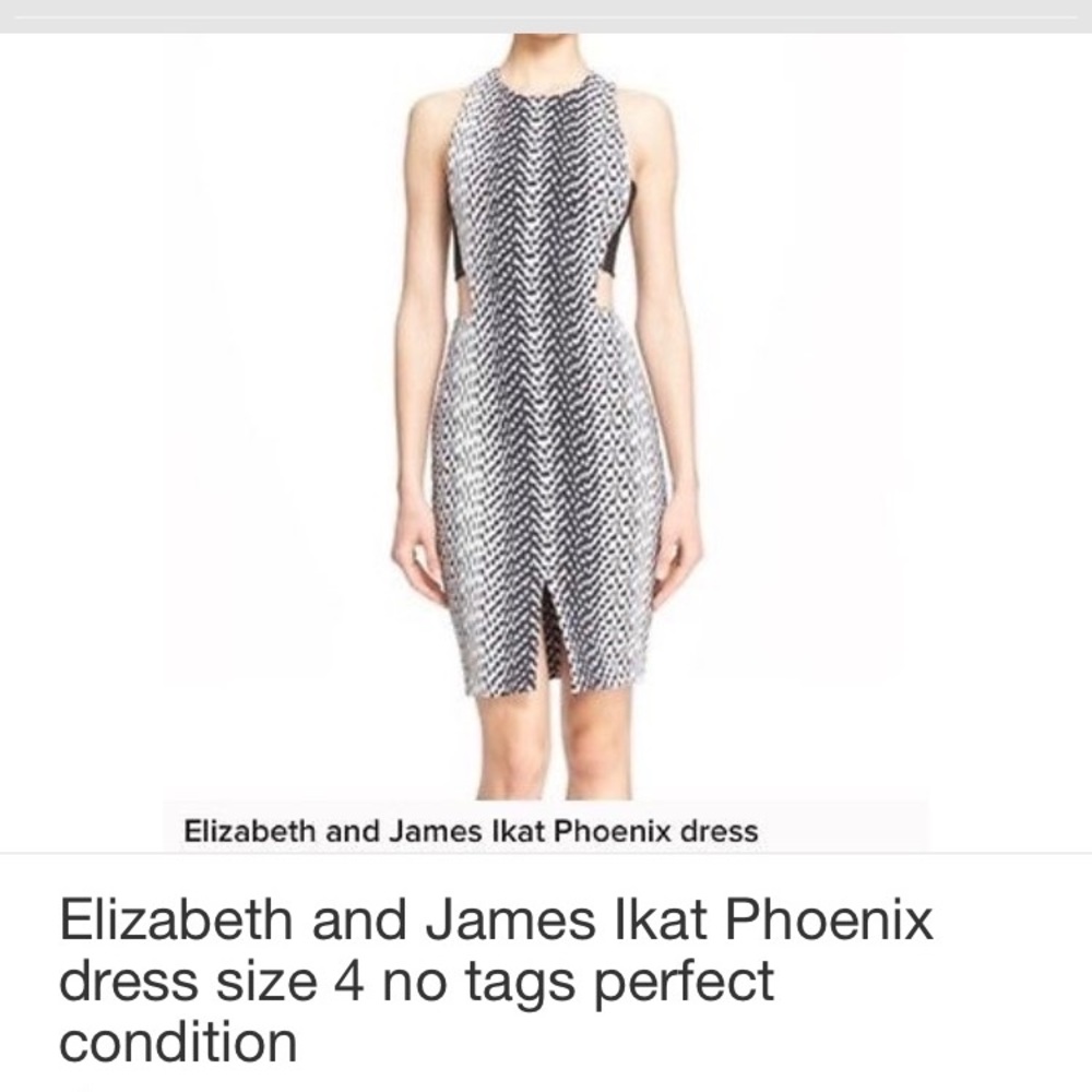Elizabeth and James Ikat print dress