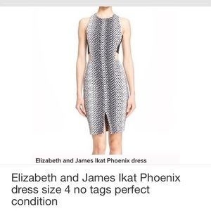 Elizabeth and James Ikat print dress