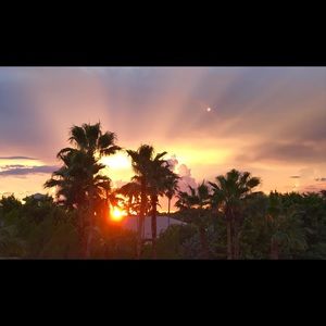 Meet your Posher, Angelic