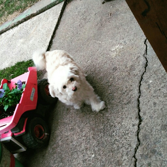 Meet your Posher, Dae - Picture 2 of 3