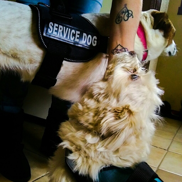 Meet your Posher, Dae - Picture 3 of 3