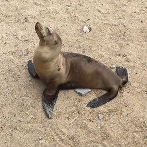 Meet your Posher, Anna