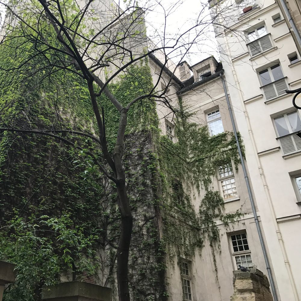 Meet your Posher, Reilly