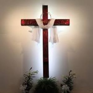 Meet your Posher, Niveen