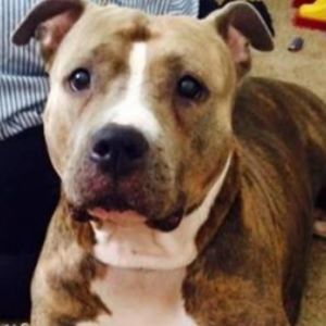 Meet your Posher, Claudia