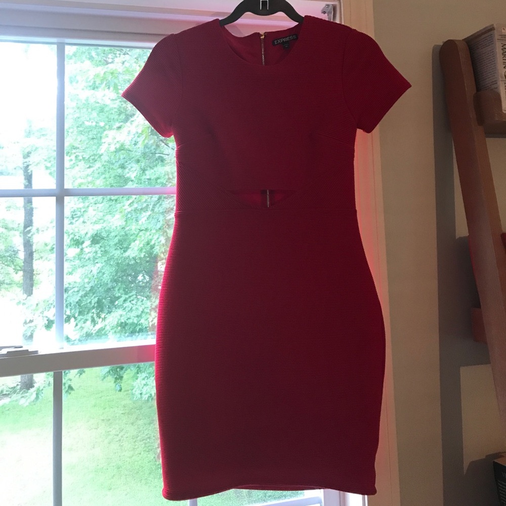 EXPRESS XS/TP Dress