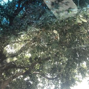 Meet your Posher, Dan