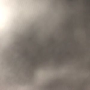 Meet your Posher, Maddie