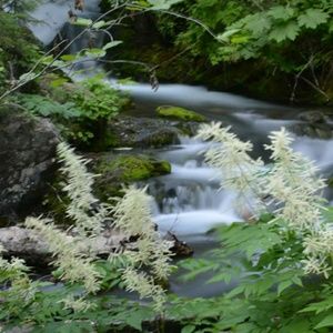 Meet your Posher, Cassandra