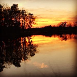 Meet your Posher, Shelley