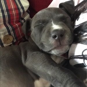 Meet your Posher, Avery