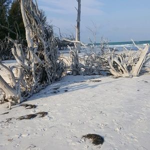 Meet your Posher, Kinsey