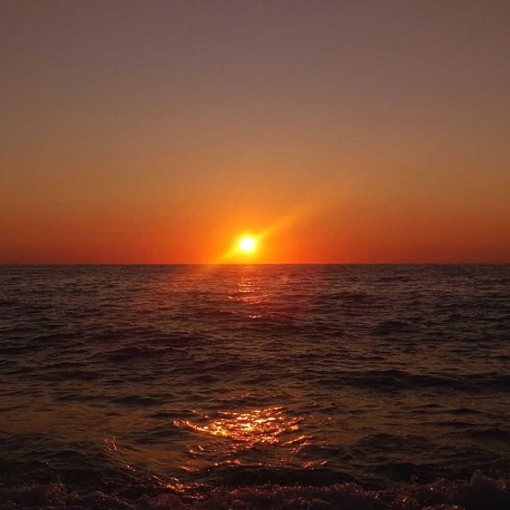 Meet your Posher, Haris