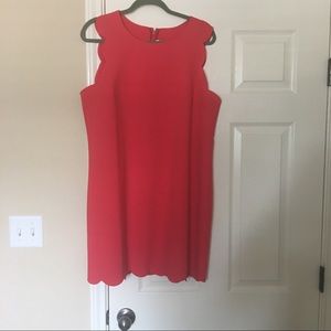 Perfect Condition J Crew Scalloped Shift Dress -16