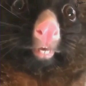 Meet your Posher, Erick