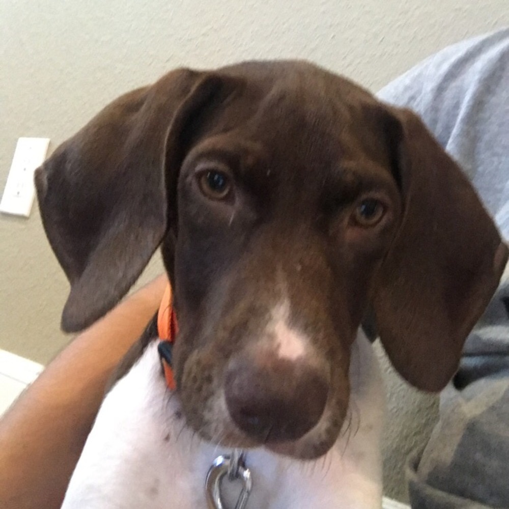 Meet your Posher, Jonathan