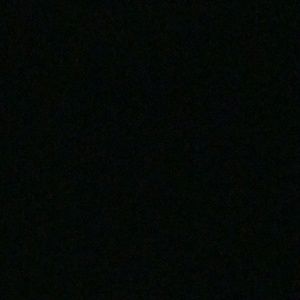 Meet your Posher, Roy