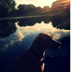 Meet your Posher, Molly