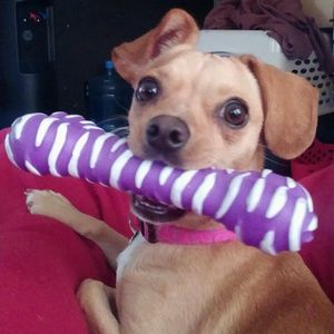 Meet your Posher, Teri