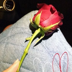 Meet your Posher, Bahar