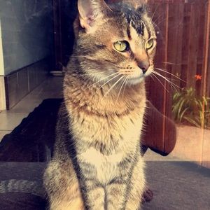 Meet your Posher, Sophie