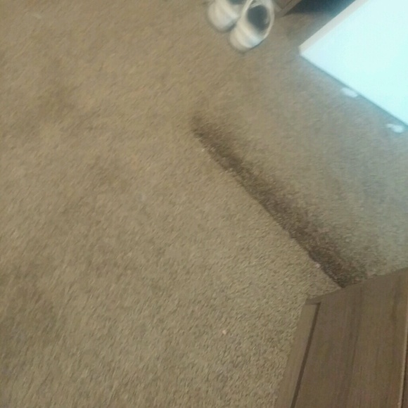 Meet your Posher, Greg - Picture 1 of 1