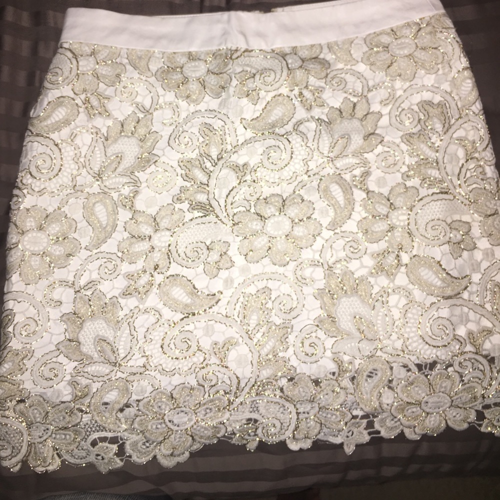 Beautiful Seamed Lace Skirt