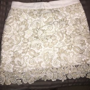 Beautiful Seamed Lace Skirt