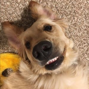 Meet your Posher, Ellie