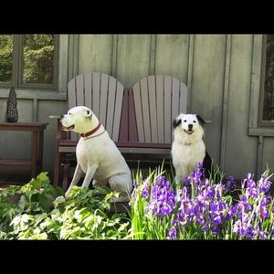 Meet your Posher, Gi