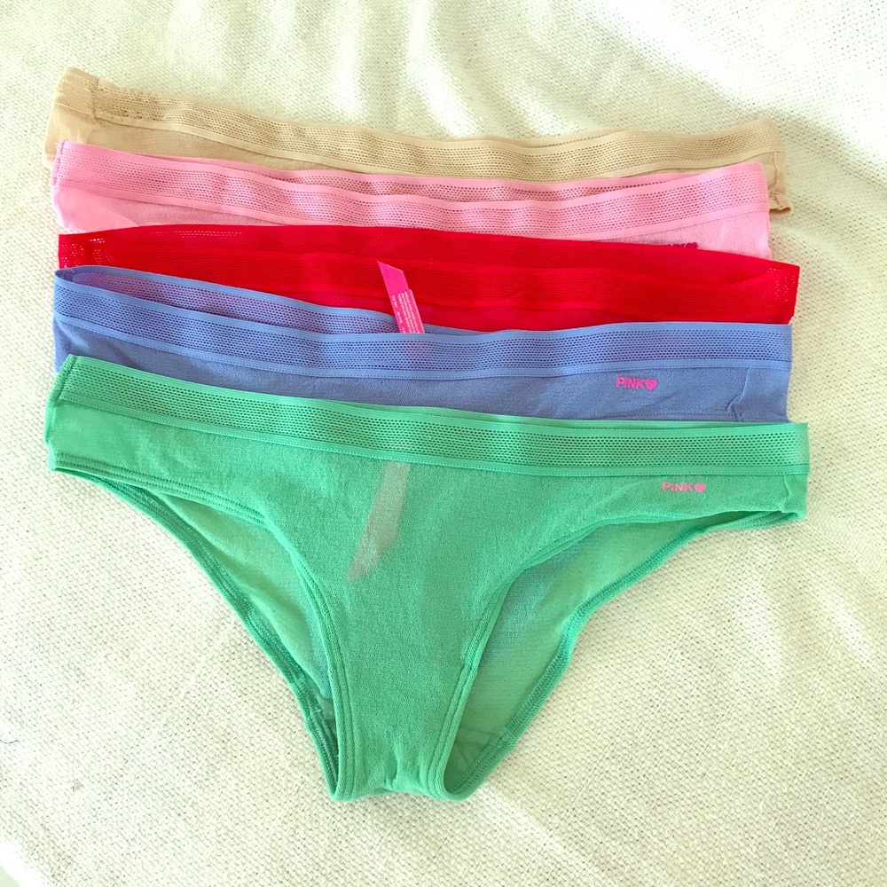 PINK Victoria's Secret mesh panties.