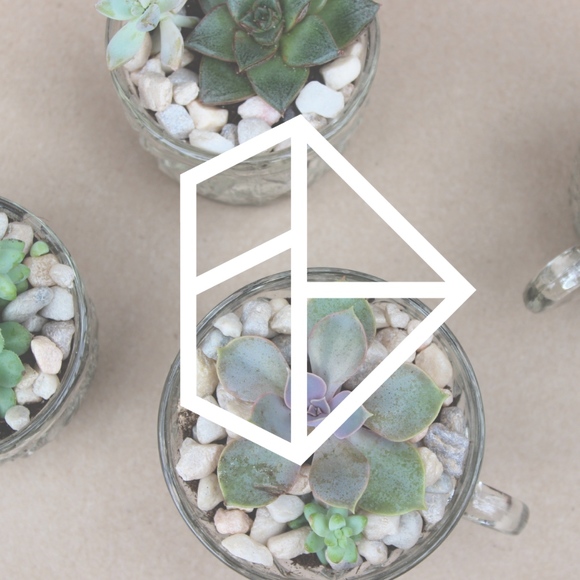 Meet Endless August - Picture 2 of 4